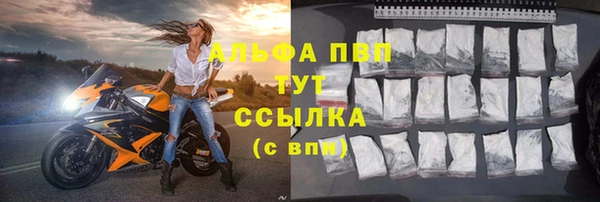 крисы Гусев