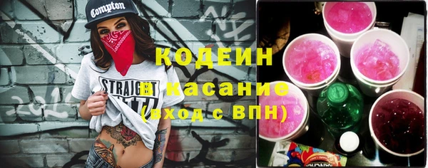 крисы Гусев